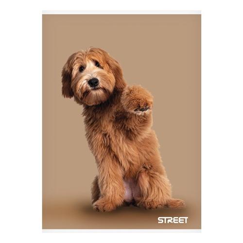 Füzet STREET Friends A/5 54 lapos vonalas